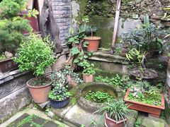 -恺庐茶园(宽窄巷子景区店)