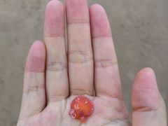 -北戴河东海水浴场