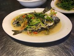 -龙眼南白粥六顺白粥