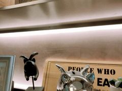 -WHEN PIGS FLY当猪飞