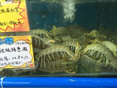 -蚝专家(北滘店)