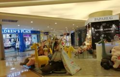 -Early Rider 儿童自行车(蓝色港湾店)