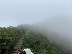 -梧桐山风景名胜区
