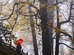 -重庆锦火锅(惠福东路店)