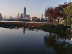 -月湖风景区