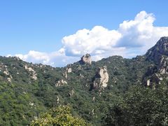 -大岭沟猕猴桃谷风景区
