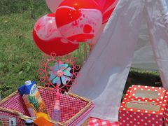 -南宁良凤江国家森林公园