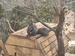 -金石滩蓝莓谷庄园