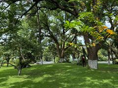 -浙江西子宾馆·瑶园咖啡厅