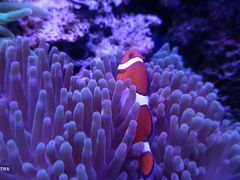 -多彩贵州城极地海洋世界