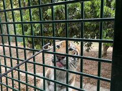 -深圳野生动物园