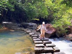 -广州白江湖森林公园