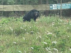 -海南热带野生动植物园