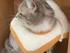 -联合动物医院(光谷诊疗中心)