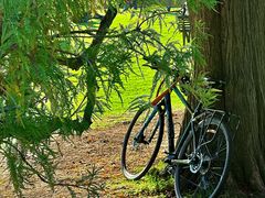 -墨尔本皇家植物园