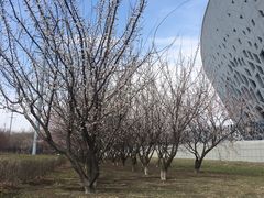 -长春奥林匹克公园