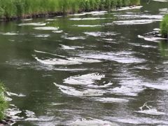 -黛秀湖公园