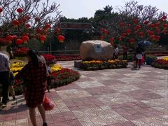 -广东茂名森林公园