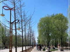 -野鸭湖国家湿地公园