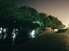 -宝安西湾红树林湿地公园