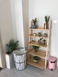 -至臻康妍健康管理中心