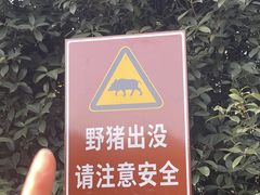 -菊花台公园