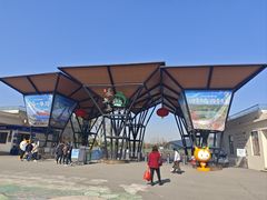 -上海长兴岛郊野公园