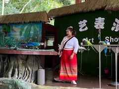 -西双版纳原始森林公园