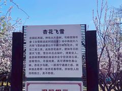 -东升八家郊野公园