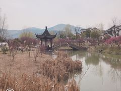 -石塘人家