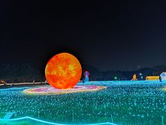 -海上田园