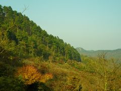 -四明山国家森林公园