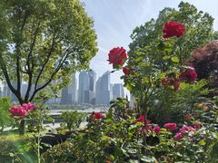 -北外滩滨江绿地