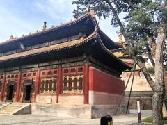 -普乐寺