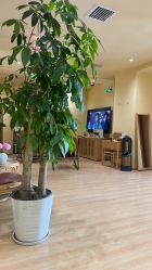 -小颜秘家·韩国整骨