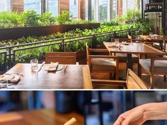 -新加坡乌节希尔顿酒店 (SG Clean)