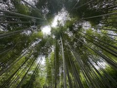 -黄公望隐居地