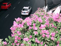 -仙岳公园