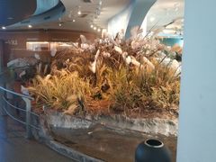 -漩门湾国家湿地公园