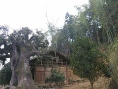 android_upload_pic-常德桃花源景区
