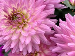 -上海植物园-4号门售票处