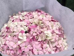 -循礼门鲜花花市(武汉循礼门店)