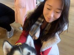 -Husky Go! 哈士奇体验馆·宠物咖啡厅狗咖