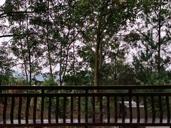 -广州市流溪河国家森林公园
