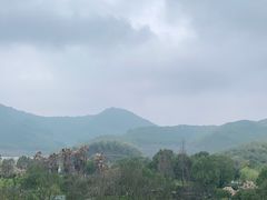 -宁波九龙湖开元度假村