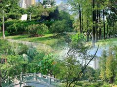 -人民公园(罗湖区)