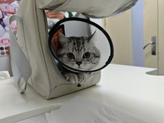 -宠颐生动物医院·心脏科·保险定点(锦阳分院)