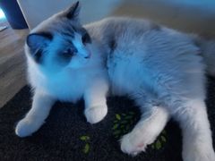 -零纪元VR体验馆·桌游(黄浦店)