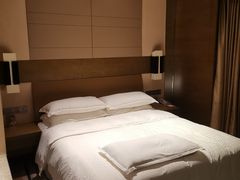 -扬州绿地铂骊酒店