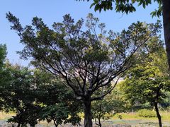 -华南师范大学(广州大学城校区)